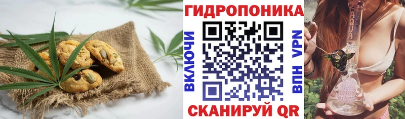 Печенье с ТГК марихуана  omg ССЫЛКА  Новороссийск 