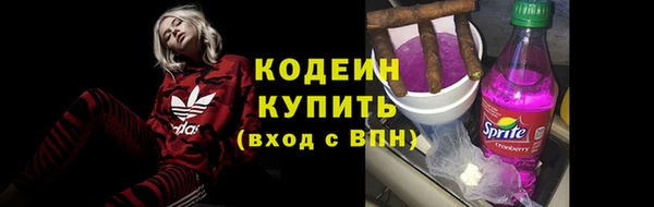 твердый Михайлов