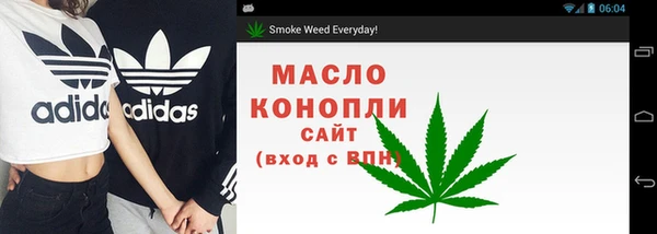 твердый Михайлов