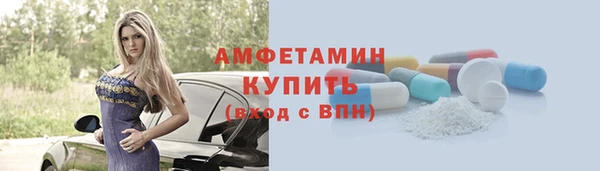 твердый Михайлов