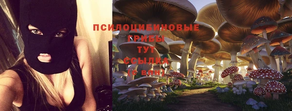прущая мука Михайловск