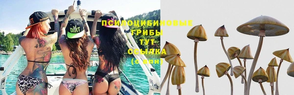 твердый Михайлов
