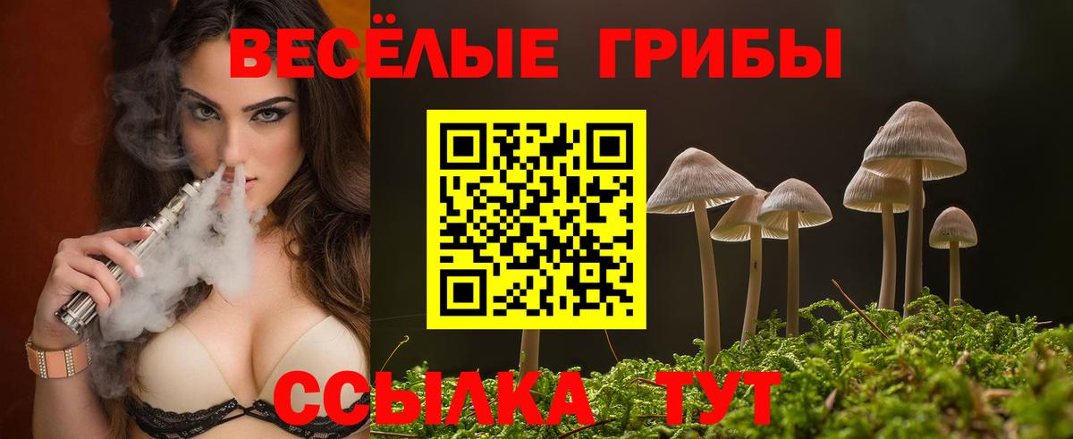 дарнет шоп  Вход с VPN  Новороссийск  Галлюциногенные грибы Magic Shrooms 